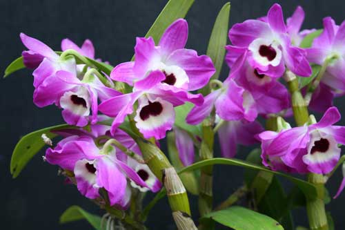 20140309-0 20140309-0