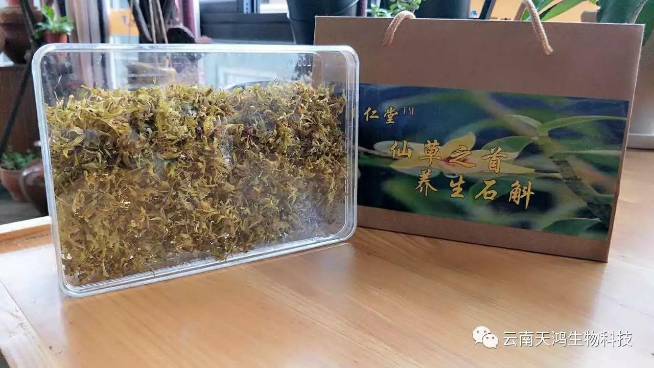 仙草之首 蟲草之上---石斛花 仙草之首 蟲草之上---石斛花