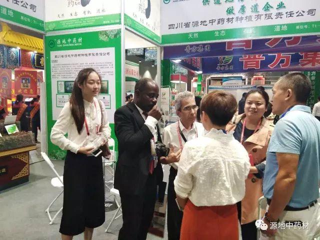 “一帶一路”給中醫(yī)藥的發(fā)展帶來了新的機(jī)遇及其應(yīng)對策略