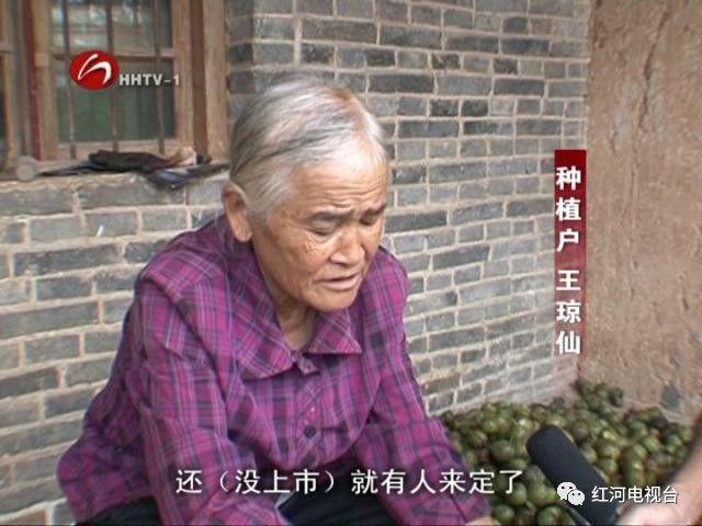 【砥礪奮進(jìn)的五年】彌勒:荒坡地長(zhǎng)出“金疙瘩” 【砥礪奮進(jìn)的五年】彌勒:荒坡地長(zhǎng)出“金疙瘩”
