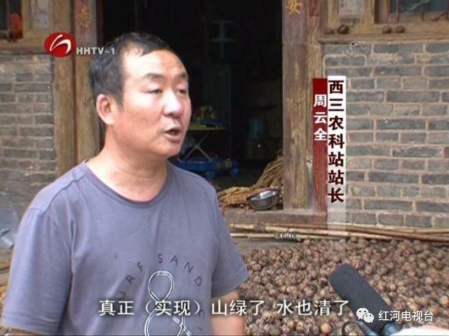 【砥礪奮進(jìn)的五年】彌勒:荒坡地長(zhǎng)出“金疙瘩” 【砥礪奮進(jìn)的五年】彌勒:荒坡地長(zhǎng)出“金疙瘩”