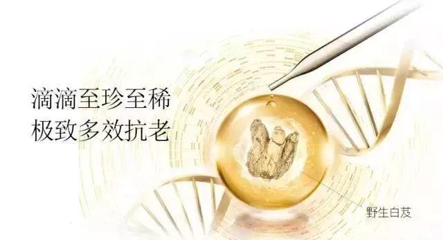 央視七套對“白芨面膜”的真實報道