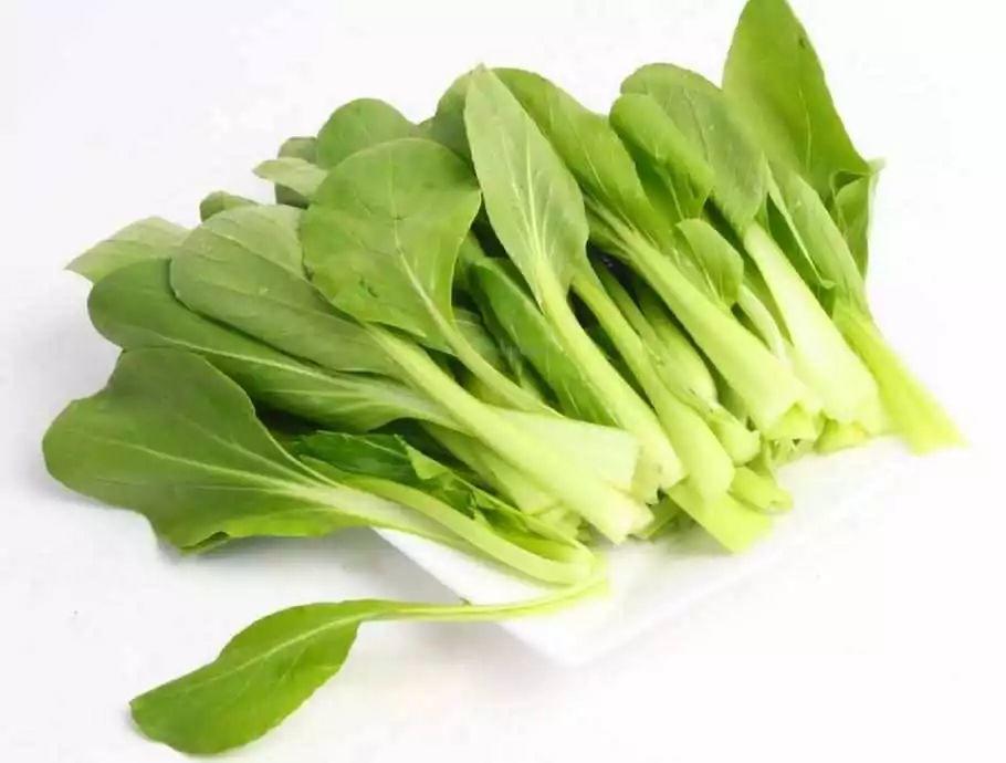 藥 食 同 源