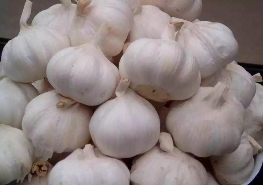 藥 食 同 源