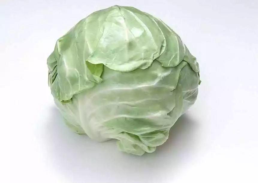 藥 食 同 源