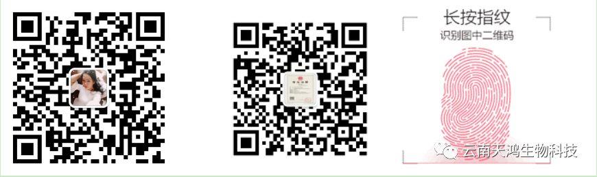黃精除草劑實(shí)用效果圖